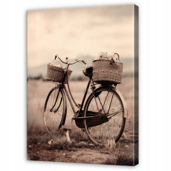Tableau rétro représentant un vélo sur fond de prairie beige, pour chambre à coucher ou salon, sur toile, 60 x 40 cm