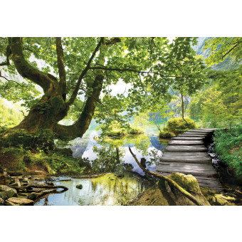 11235 - paysage