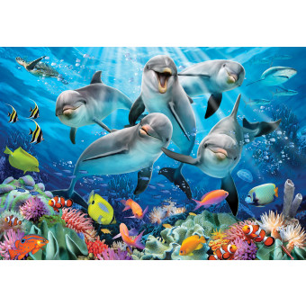 12849 - dauphins - selfies