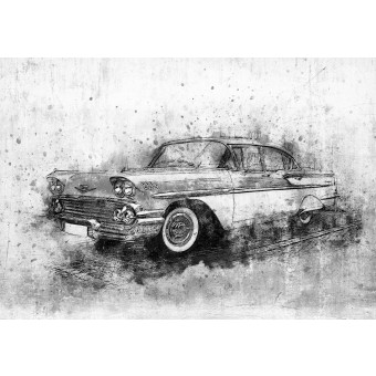 13013 - voiture