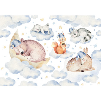 13671 - Animaux endormis