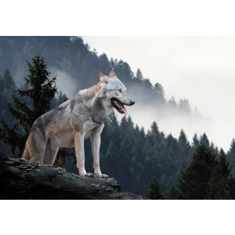 Peinture sur toile représentant un loup dans une montagne et une forêt embrumées (grand format)