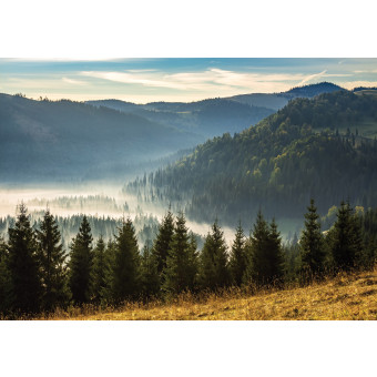 Peinture sur toile : montagne, paysage, nature, forêt