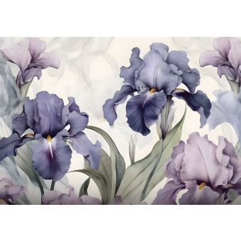 14755 - nature, fleurs, modernes, romantiques, iris