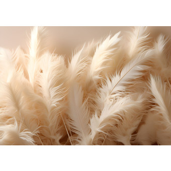 14773 - plumes beiges Nature Structure