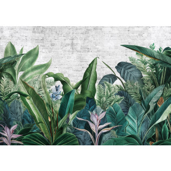 15302 - Nature, feuilles, jungle, botanique