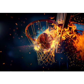 15349 - sport : basket-ball
