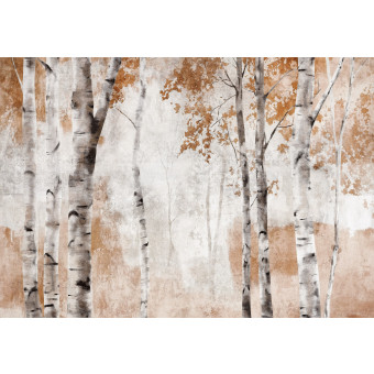 15353 - forêt de bouleaux
