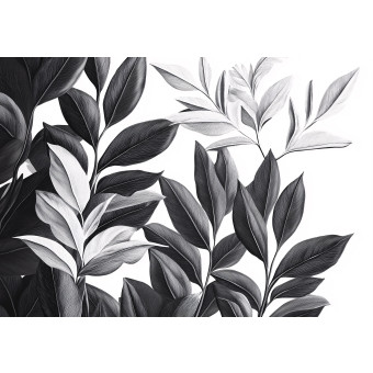 15688 - feuilles