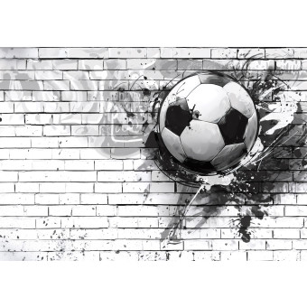 15863 - football