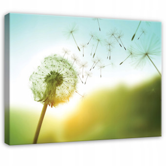 Tableau représentant des fleurs de pissenlit dans un paysage, pour une chambre ou un salon, sur toile, 40 x 30