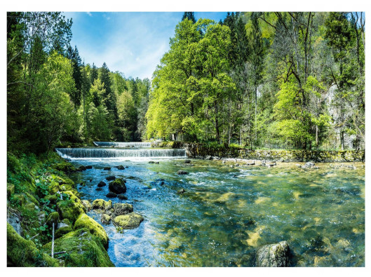 Papier peint photo cascade 3D for&ecirc;t nature paysage salon papier peint mural 400x280