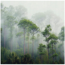 Papier peint 3D forêt arbres brouillard vert pour mur chambre salon 150x105