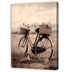 Tableau rétro représentant un vélo sur fond de prairie beige, pour chambre à coucher ou salon, sur toile, 60 x 40 cm
