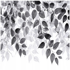 Papier peint photo « Feuilles » en noir et blanc à accrocher au mur (chambre, salon) 200 x 140