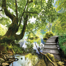 11235 - paysage