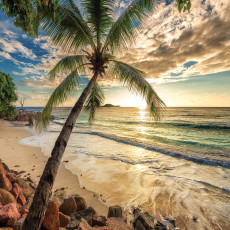 11732 - plage