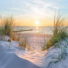 Papier peint photo plage mer dunes mer Baltique vue pour chambre à coucher salon papier peint