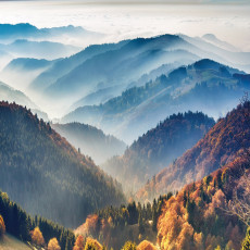 14629 - paysage, nature, montagnes, forêt