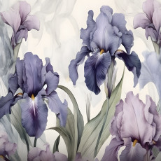 14755 - nature, fleurs, modernes, romantiques, iris