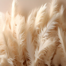14773 - plumes beiges Nature Structure