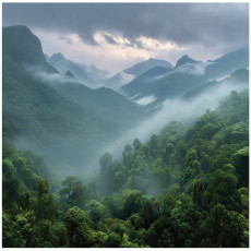 Papier peint photo forêt montagne brouillard nature pour chambre à coucher salon papier peint intissé 400x280