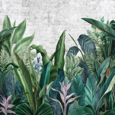 15302 - Nature, feuilles, jungle, botanique