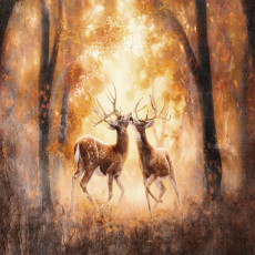 15350 - nature, forêt, cerf