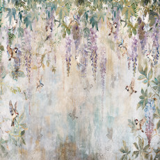 15357 - fleurs violettes, glycine romantique