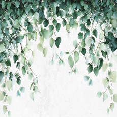 Papier peint photo feuilles vertes nature cuisine chambre salon papier peint