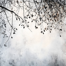 Papier peint photo branches béton arbre chambre salon papier peint intissé