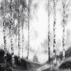 Papier peint forêt arbres noir et blanc chambre salon papier peint intissé