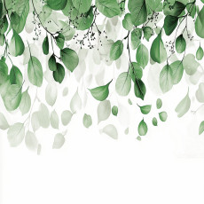 Papier peint photo feuilles vert blanc chambre salon papier peint intissé