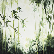 Papier peint bambou vert nature chambre salon papier peint intissé