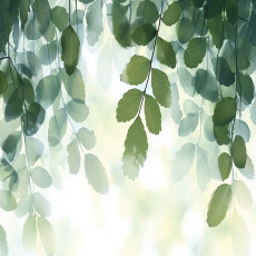 Papier peint photo feuilles vert nature chambre salon papier peint intissé
