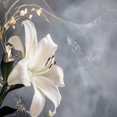 Papier peint photo fleurs abstraction lys chambre à coucher salon papier peint intissé