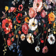 Papier peint photo fleurs des champs sur fond noir pour la chambre à coucher ou le salon