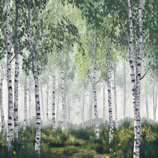Papier peint 3D forêt de bouleaux arbres nature pour mur chambre salon