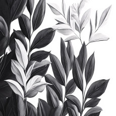 15688 - feuilles