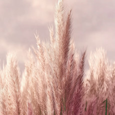 Papier peint photo 3D « Blé rose nature » pour les murs de la chambre ou du salon, 150 x 105 cm