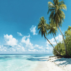 Papier peint photo plage mer palmiers paysage pour la chambre à coucher salon