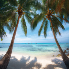 Papier peint photo plage 3D palmiers mer nature pour mur chambre salon