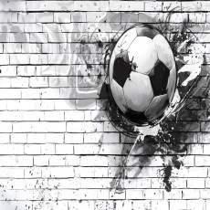 15863 - football
