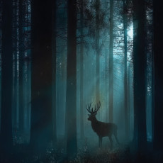 Papier peint forêt cerf animaux nature pour mur chambre salon
