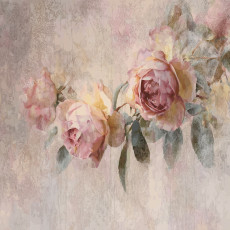 Papier peint photo fleurs vintage roses béton pour mur chambre salon