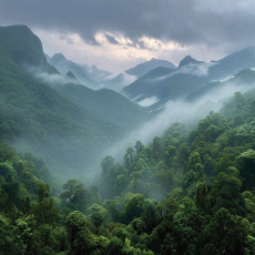 Papier peint photo forêt montagnes brouillard nature pour chambre à coucher salon papier peint intissé