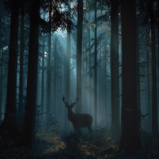 Papier peint forêt cerf animaux pour chambre à coucher salon papier peint intissé