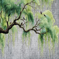 Papier peint arbre béton vert chambre salon papier peint intissé