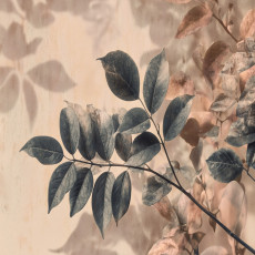 Papier peint photo feuilles nature arbre chambre salon papier peint intissé
