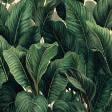 Papier peint photo feuilles jungle vert chambre à coucher salon papier peint intissé